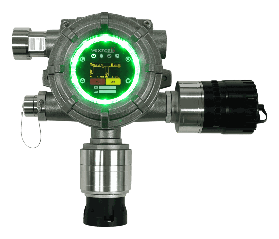WatchGas DuoPoint — uniwersalny transmiter detekcji gazów
